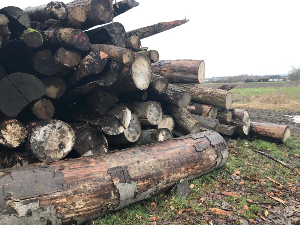 85dd69fd-e9e2-4b8a-adaf-9472c9d836ed