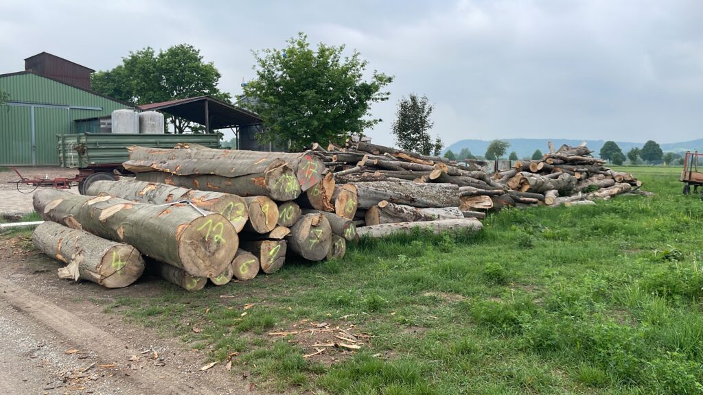 9E471500-E46D-444A-AD99-8C85E340A598