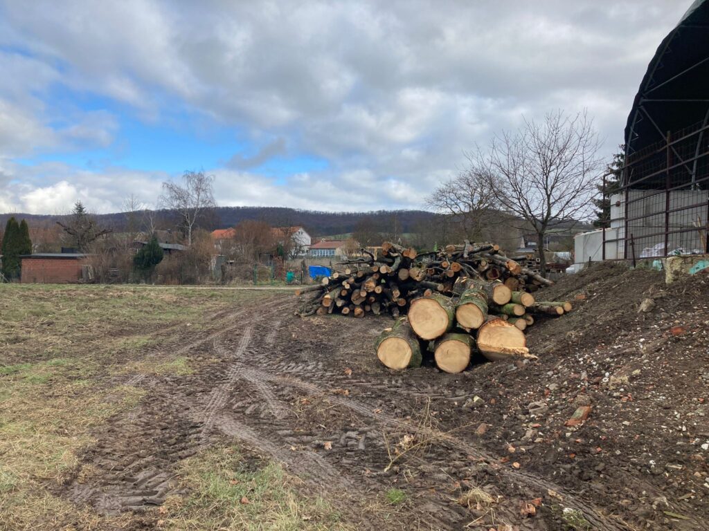 fbd8f682-44af-4ea6-84e2-9576d86e129f